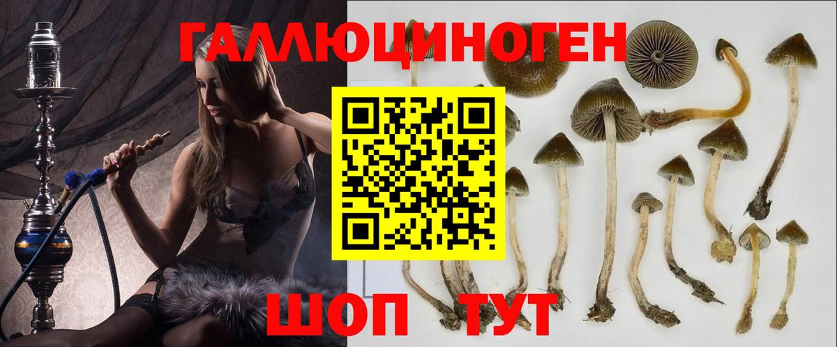 Галлюциногенные грибы MAGIC MUSHROOMS Губкинский